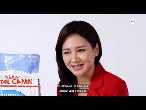 Royal Canin Maxi Adult Dry Dog Food