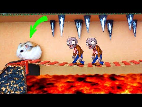 ????Hamster vs Zombies Hamster Escape from obstacle course maze