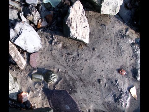 Mudlarking, trip 54,  slushy mud here, but still finding nice things