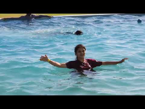 Beach Par Gaye / Kya Khana Khaya Waha Par