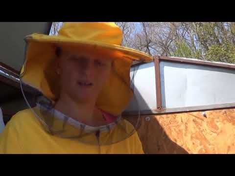 PČELARSTVO IVANČEVIĆ - Drugo proširenje pčelinjeg legla 09.04. 2020.