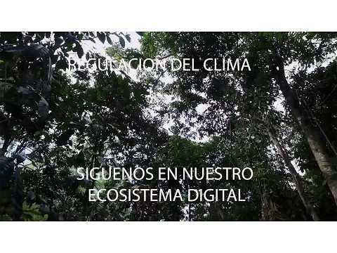 ESPECIES NATIVAS DE CLIMA CÁLIDO VIVERO UNIVERSIDAD DEL QUINDÍO