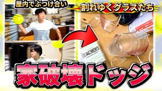 【衝撃】リビングで 全 力 ド ッ ジ ボ ー ル したら家ぶっ壊れた