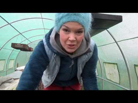 Tunnelväxthuset mars 2015