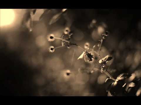 Hybrid - Until Tomorrow [ft. John Graham]