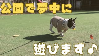 平日の公園が最高だった♪