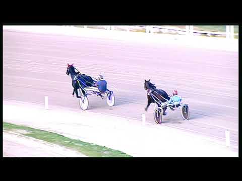 Trotto 23/10/2020 - prova di qualifica