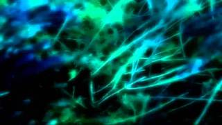 The Doors - End of the Night - The Doors - 1967