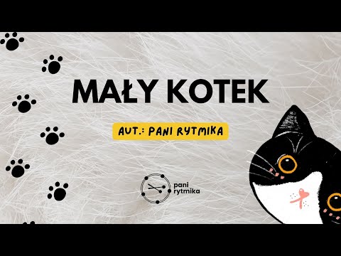 Mały kotek