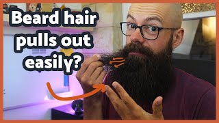 Why your beard hair pulls out so easily. The damaging action revealed!
