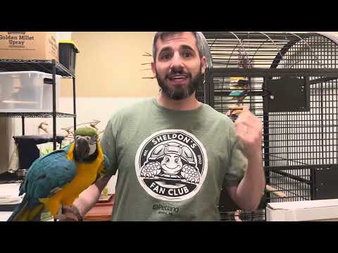 Do’s and Don’ts for Parrot Owners!