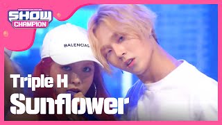 Show Champion EP.228 Triple H - Sunflower