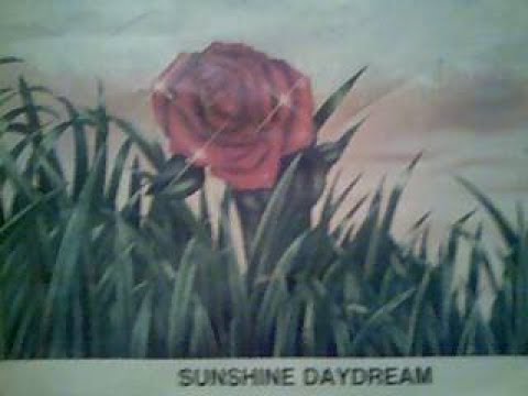 Norm Macdonald Celebrities