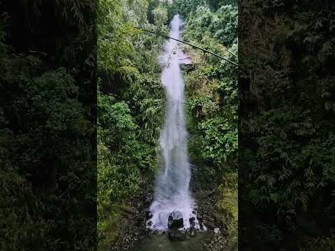 cascada Génova  quindio. queda. sobre la vía muchos lugares por explorar#vistashermosas