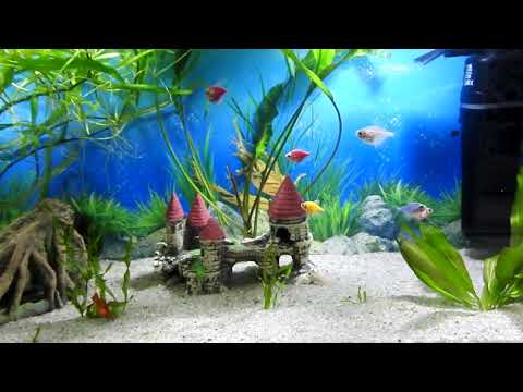 Автоматическая кормушка для Аквариума Smart Feeder AF 2019B