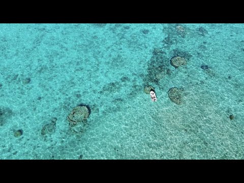 CATCH & COOK - INSANE LAST DAY IN YBS (YOUNGBLOODS)TERRITORY!!