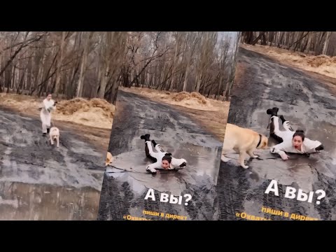 Fails of The Week  😂  EP:19  |  Funny Fails  | Fail Army