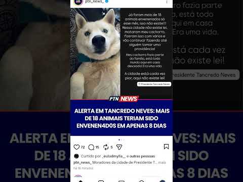 gente nos ajude a compartilhar o que está acontecendo em presidente Tancredo Neves Bahia.