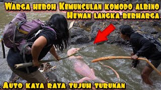 Download lagu Residents Excited by the Appearance of an Albino Komodo Dragon mp3 Download lagu Residents Excited by the Appearance of an Albino Komodo Dragon mp3