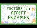 GCSE Biology Enzymes How Temperature And PH Affect Rate Of Reaction 2026 27 Exams
