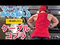 ケーブルで鬼の背中を作る!ケーブルコブラ!【筋トレ】