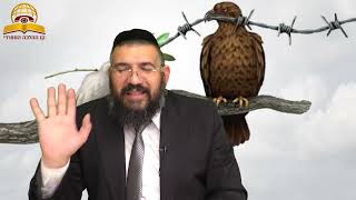 ללמוד להקשיב!! הרב ארז אלחרר
