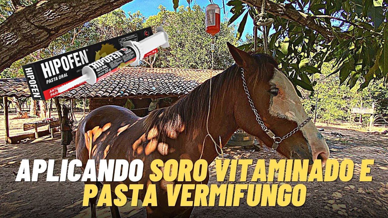 ENSINANDO APLICAR SORO VITAMINADO E PASTA DE VERMÍFUGO VIA ORAL - PARTE 1