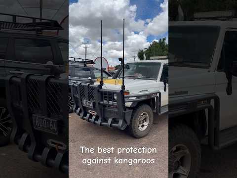 The best protection #bullbar #car #4x4 #landcruiser #track #pickup #automobile #safety #protection