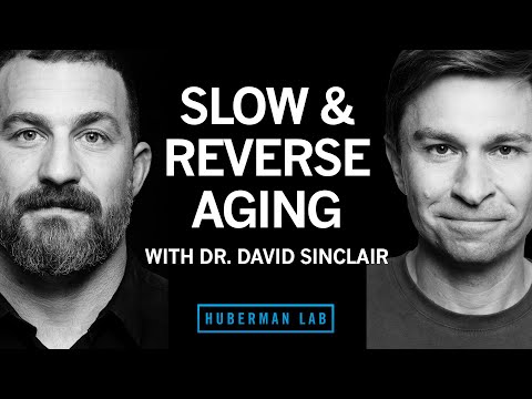 The Biology of Slowing & Reversing Aging | Dr. David Sinclair