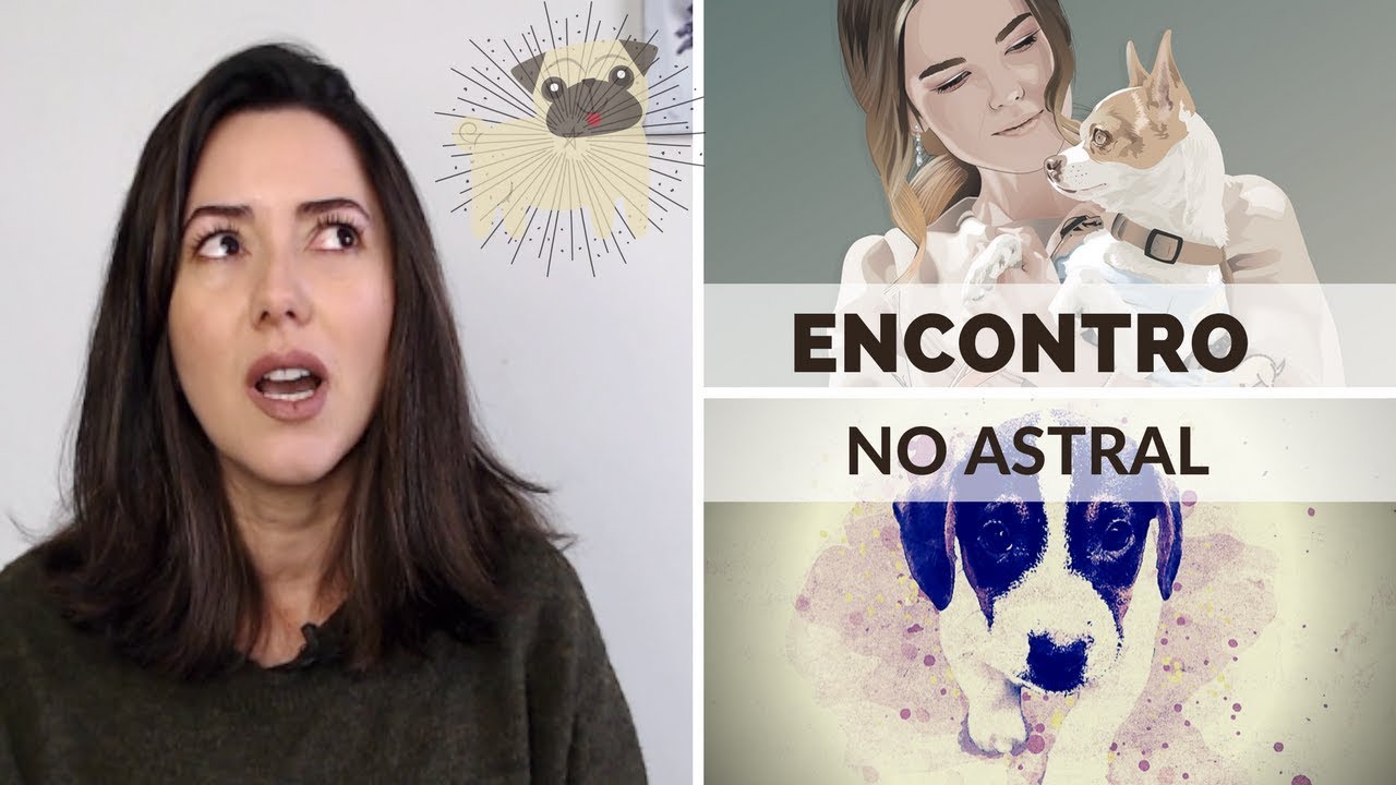 CACHORRO DESENCARNADO