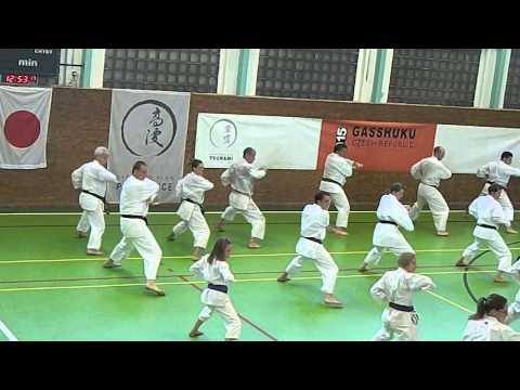 JKA Gasshuku Czech Rep. 2015 Super Hean Sandan from Naka Sensei