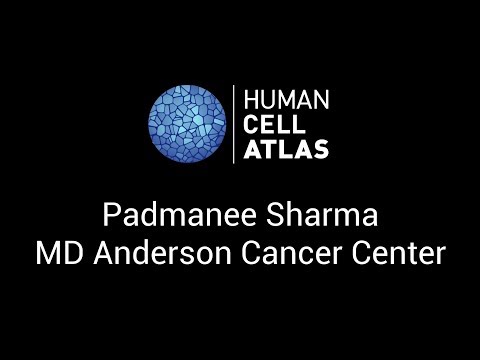 Padmanee Sharma at the Human Cell Atlas Computational Methods meeting - Stockholm, 1-2 June 2017