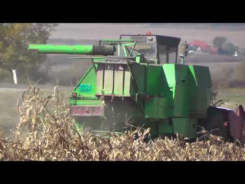 Na svetskim tržištima OSETNI pad cena! - Cene žitarica IDU DOLE!