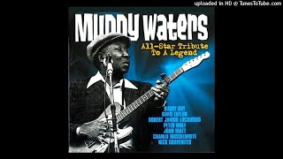 Charlie Musselwhite - I Got A Rich Man's Woman (Kostas A~171)