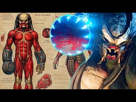 Viking Predator Anatomy + Origin Explored - A Rare Yautja Subspecies? | Predator: Killers of Killers