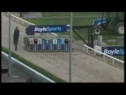 BOYLESPORTS Irish GREYHOUND DERBY 2020