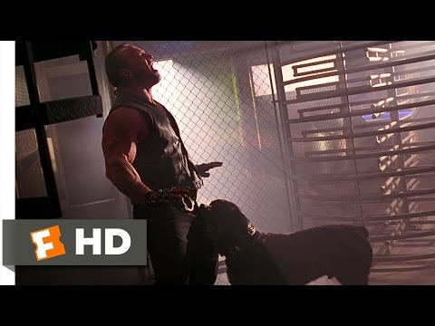 バーブワイヤー (5/10) Movie CLIP - パッケージチェック (1996) HD (Barb Wire (5/10) Movie CLIP - Package Check (1996) HD)