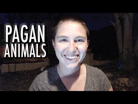 [4.24] Familiars, Animal Companions, Pagan Pets - Staying Wild Video