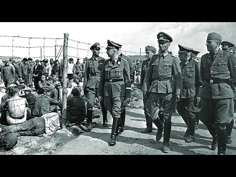 The POWs America Left Behind: Classified Files Reveal Shocking Government Betrayal in Vietnam