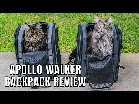 Apollo Walker Cat Backpack Review