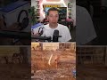 Deze Forta Gaming Headset van kan van jou zijn
