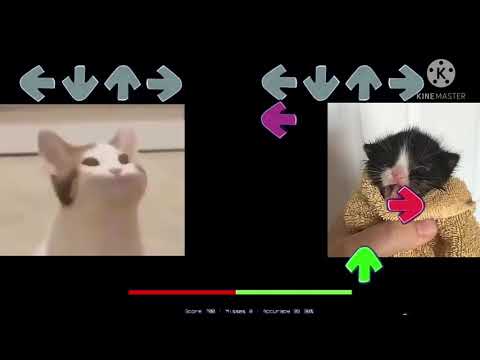 [FIRST VIDEO] Gatinho fofo contra-o gato branco boca enorme (Friday Funkin - whitty)