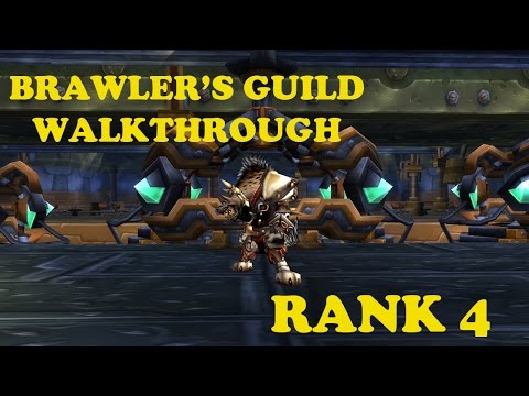 Brawler's Guild Walkthrough - Rank 4 (Tyson Sanders, Nibbleh, Dominika the Illusionist, Meatball)