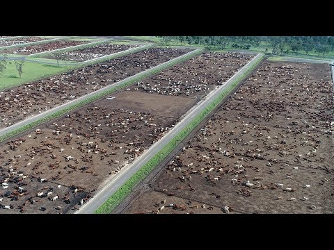 Dominion (2018): Official Trailer #2