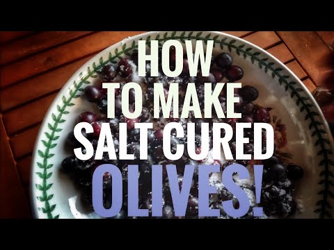 How to Make Salt Cured Olives! My Favorite!