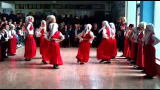 preview picture of video 'folklorna sekcija Osnovna skola Otoka'