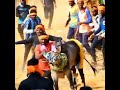 Adganti Praveena 155 Kolegara Bull Catching Moment