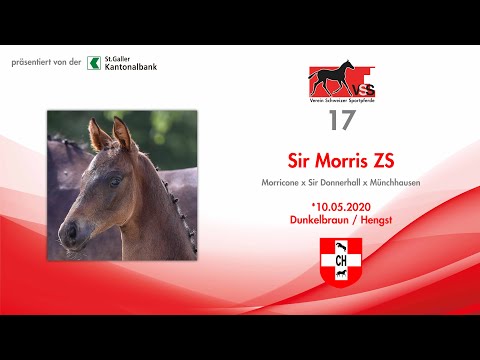 17 Sir Morris ZS suisseelite.auction