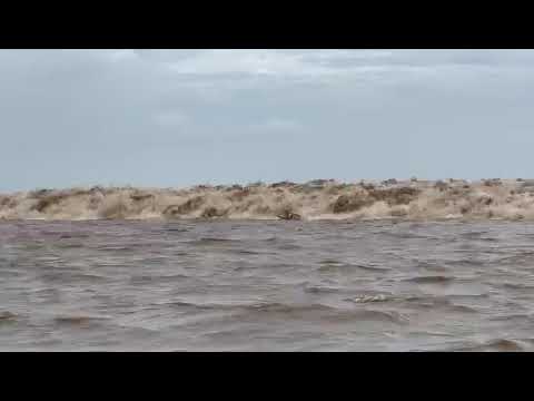 SURF NA POROROCA | CHAVES PA, 2023!🌊🏄‍♂️