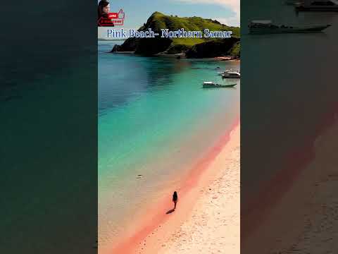 Pink Beach - Northern Samar #reels  #satisfying  #shorts #samar #fyp